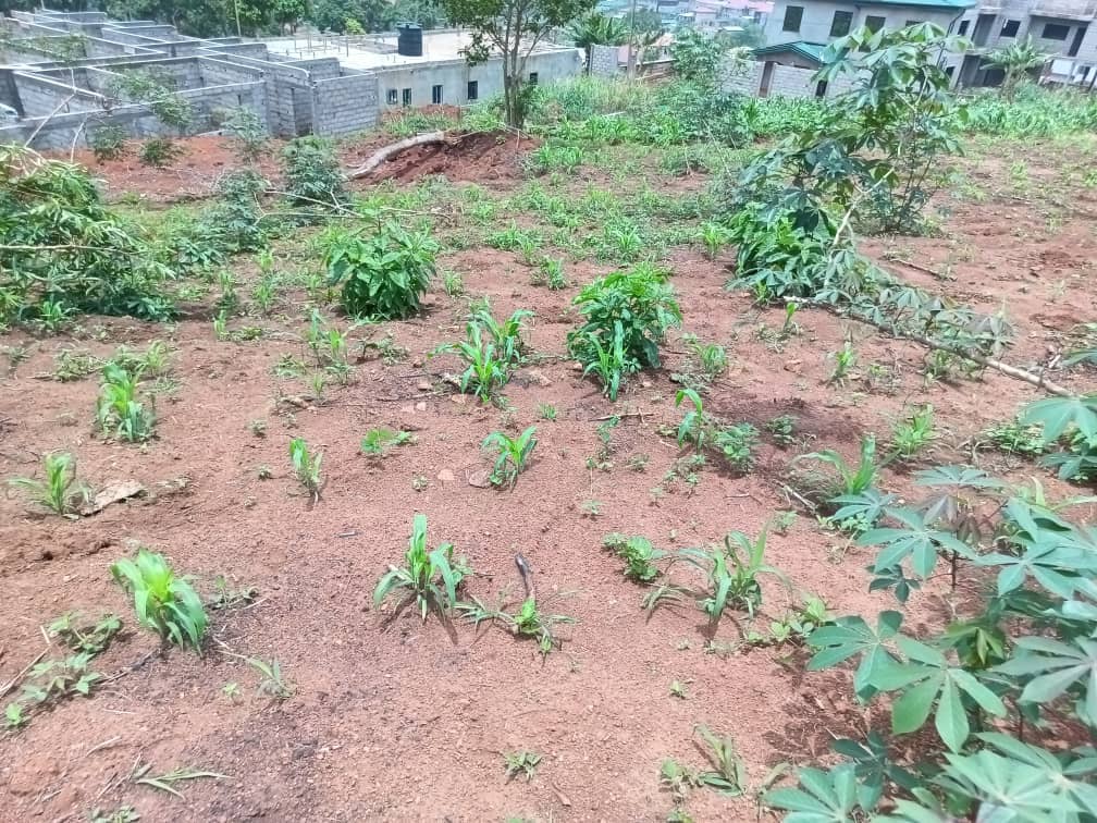 Land property for sell  — photo 6
