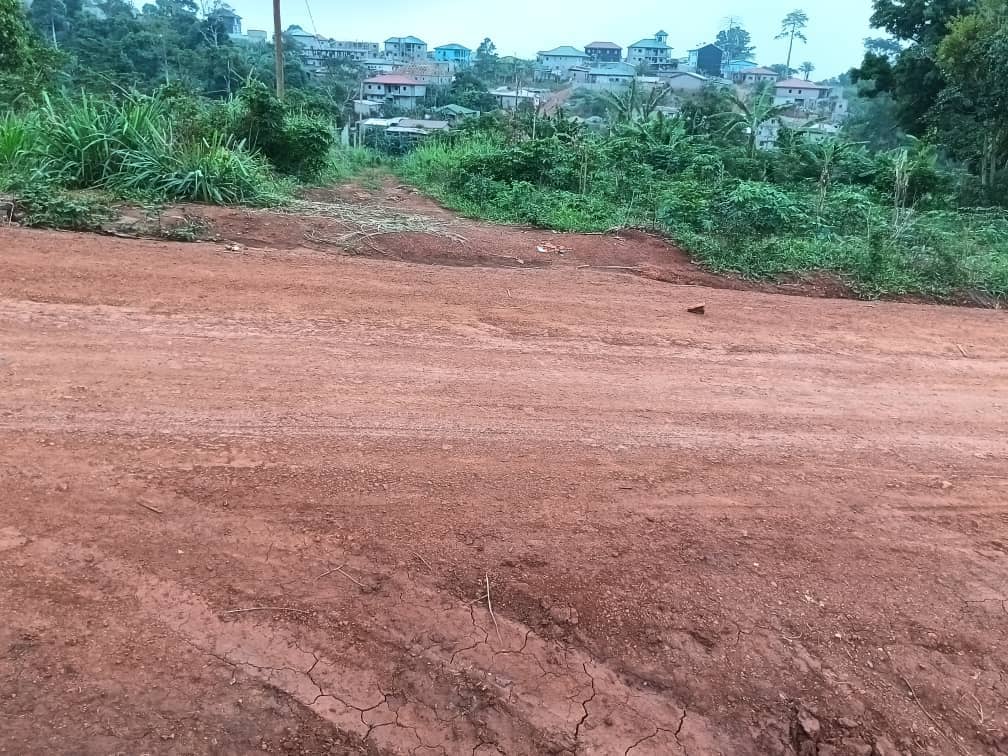 Land property for sell  — photo 2