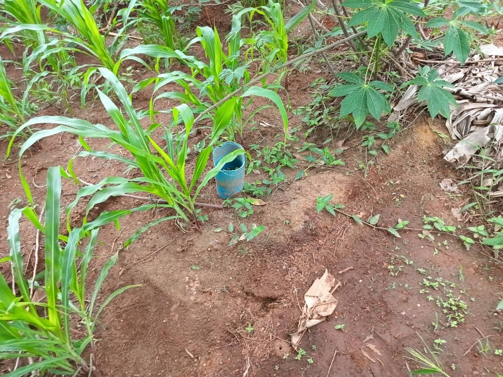 Land property for sell  — photo 3