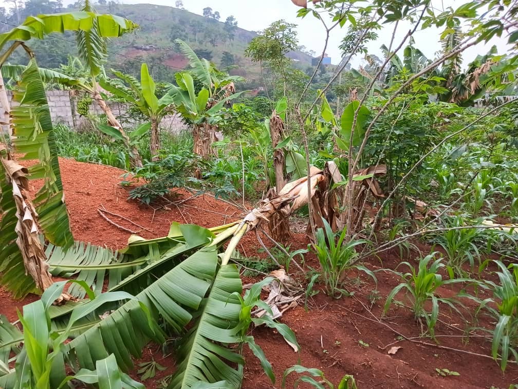 Land property for sell  — photo 7
