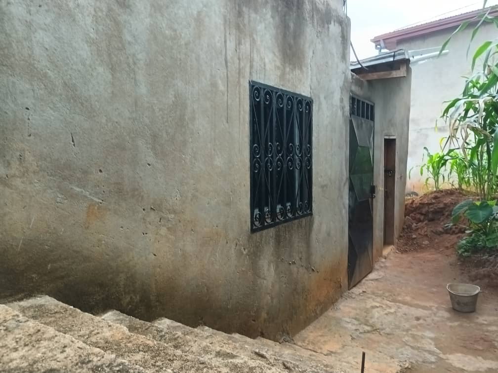 House and plot standing  — photo 2