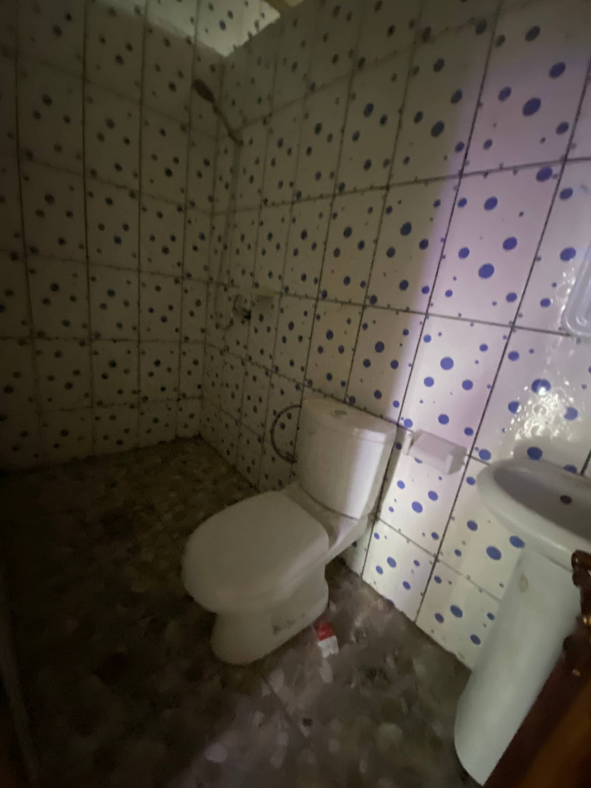 Newly constructed 2 bedrooms Apartment at Bokwai  — photo 6