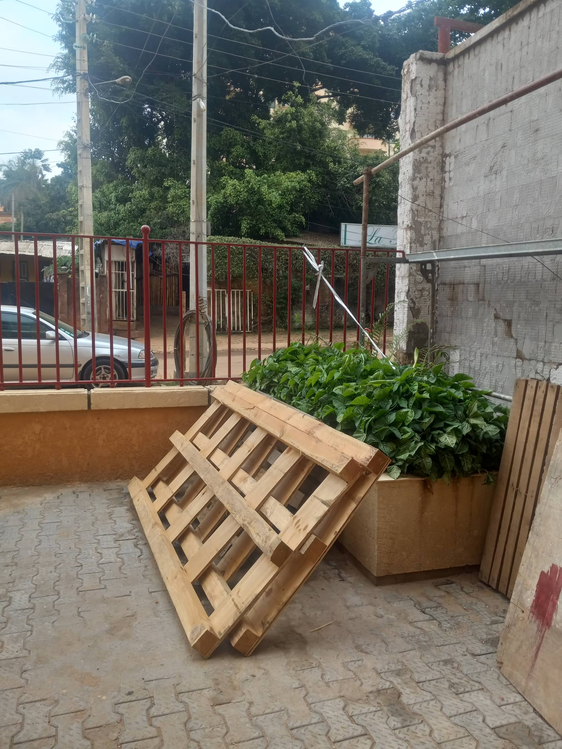 Immeuble commerciale  — photo 3