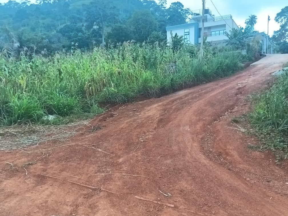 Plot Area, 500m2 