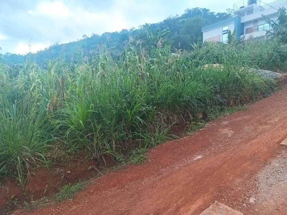 Plot Area, 500m2  — photo 7
