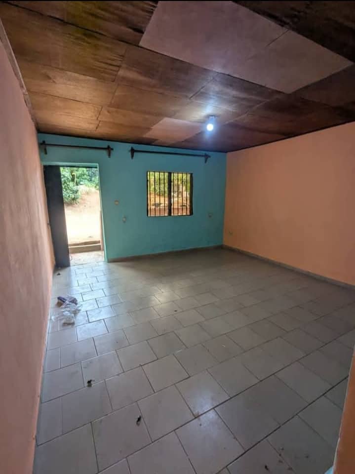 Appartement moderne tsinga