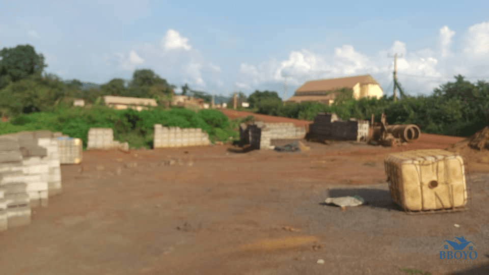 1000m2 of commercial plot area standing.  — photo 5