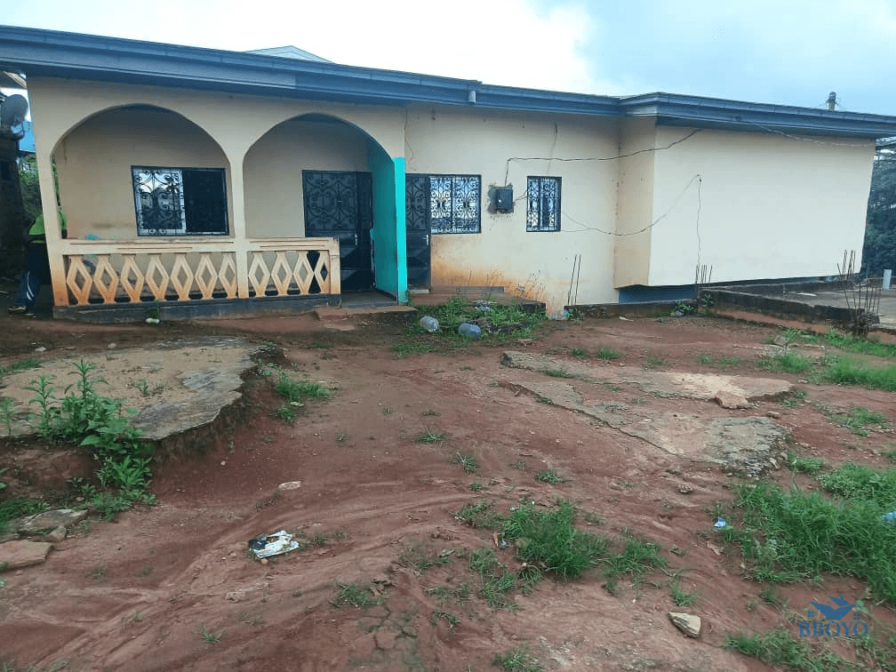 House available for rent