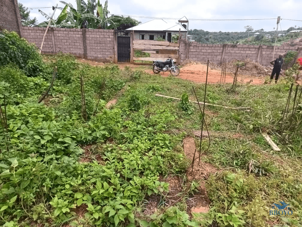 370m2 plot standing 