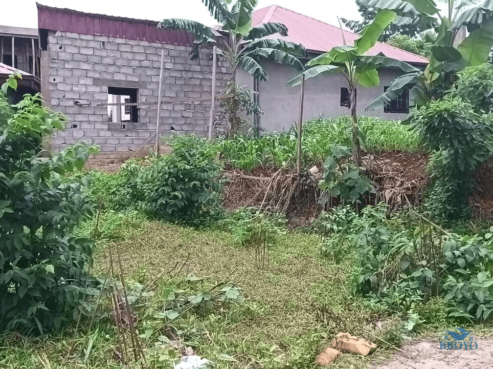 370m2 plot standing  — photo 4