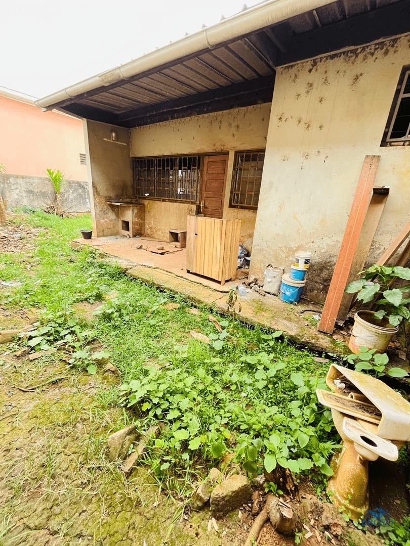 vaste appartement individuelle mendong  — photo 7