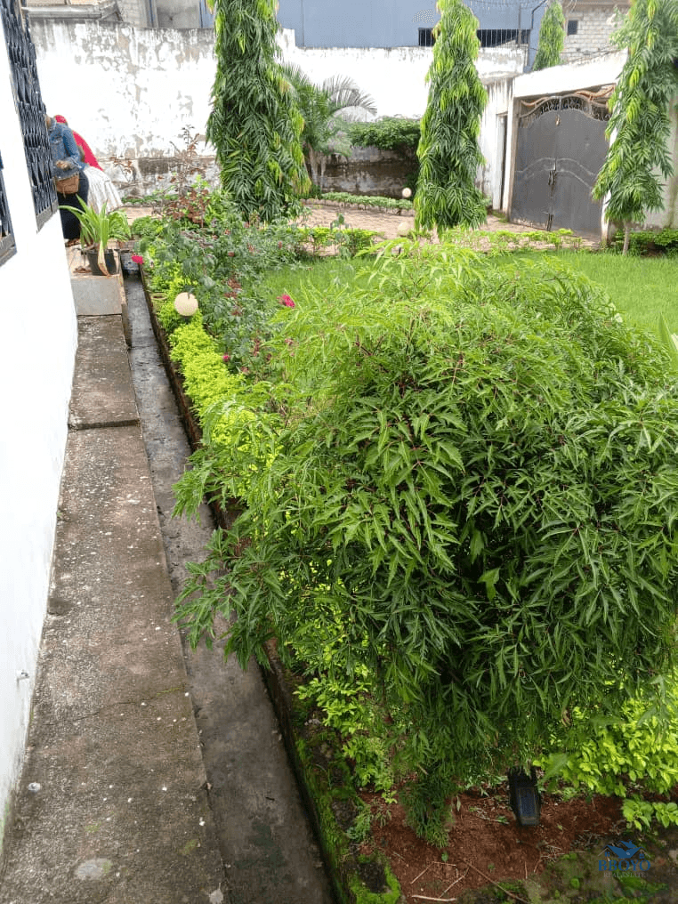 Duplex à louer nkoabang  — photo 5