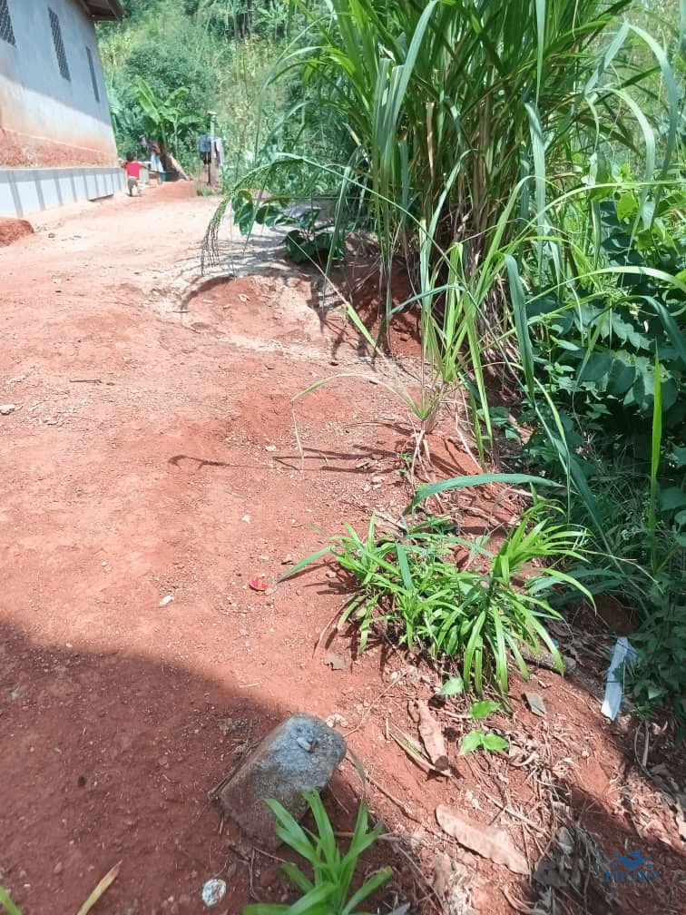 Plot Area, 300m2  — photo 4