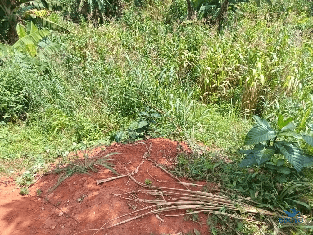 Plot Area, 300m2  — photo 7