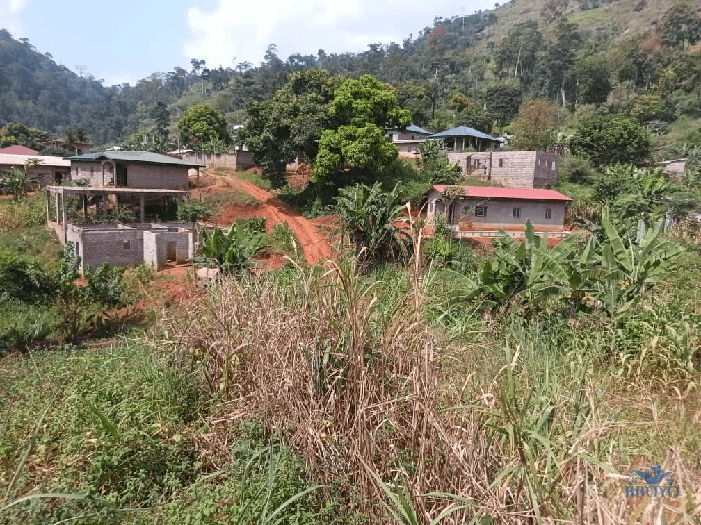 Plot Area, 300m2 
