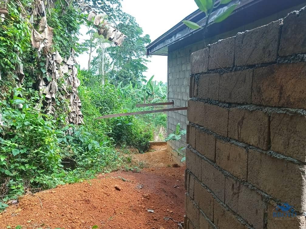 House and plot standing  — photo 7