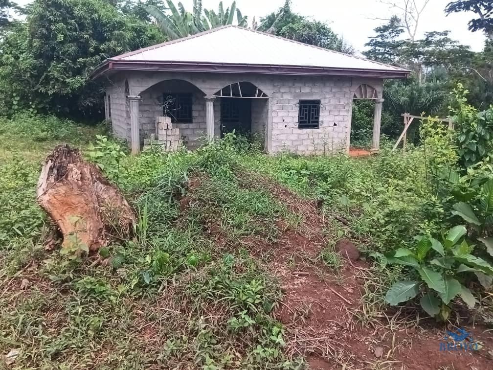 House and plot standing 