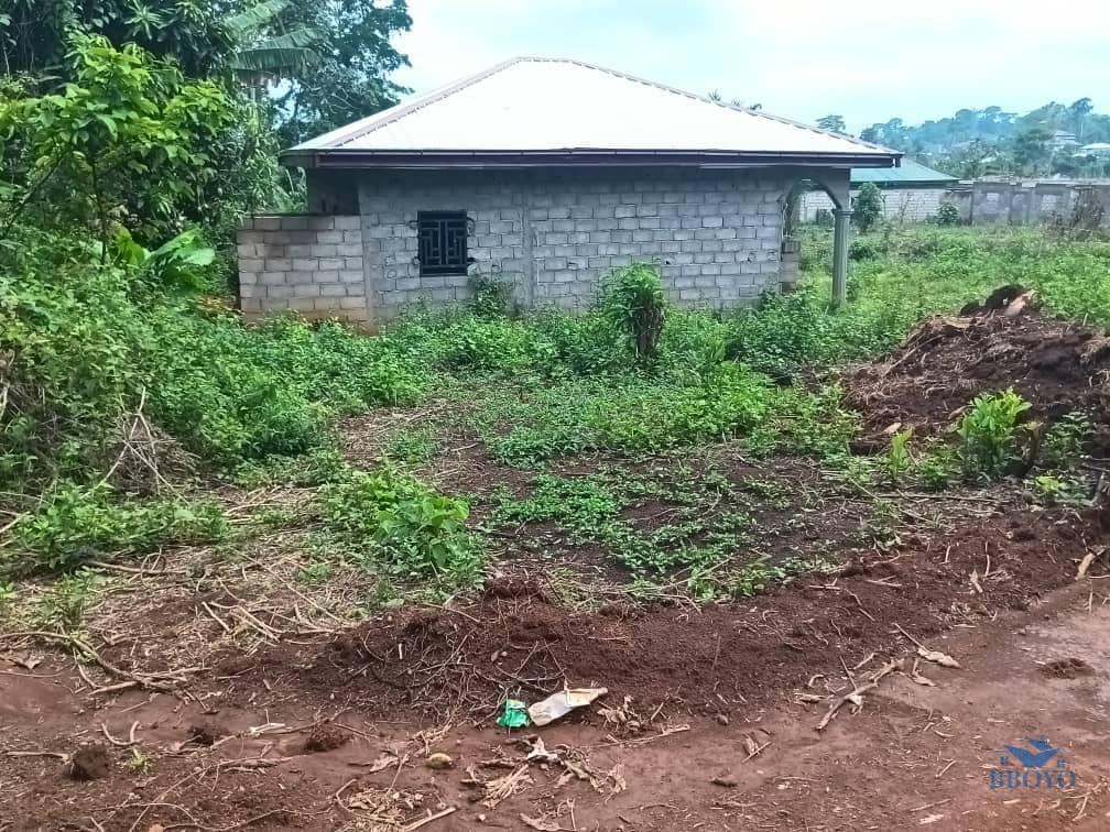 House and plot standing  — photo 4