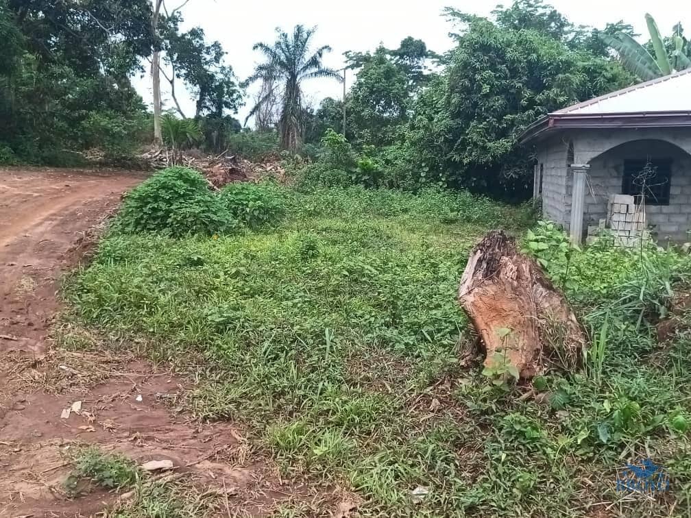 House and plot standing  — photo 6